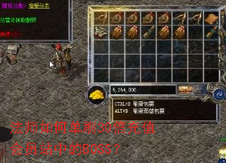 法师如何单刷30倍充值会员站中的BOSS? 法师如何单刷30倍充值会员站中的BOSS?