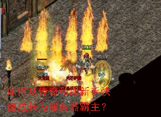 如何从传奇私服新手快速成长为服务器霸主? 如何从传奇私服新手快速成长为服务器霸主?