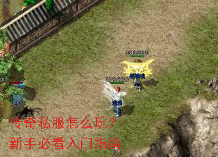 ����˽����ô�棿���ֱؿ�����ָ��