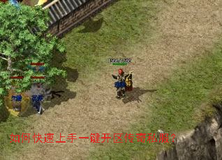 如何快速上手一键开区传奇私服? 如何快速上手一键开区传奇私服?