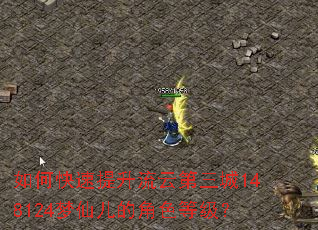 如何快速提升流云第三城148124梦仙儿的角色等级? 如何快速提升流云第三城148124梦仙儿的角色等级?