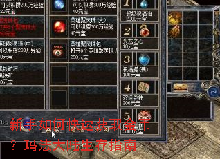 新手如何快速获取金币?玛法大陆生存指南 新手如何快速获取金币?玛法大陆生存指南