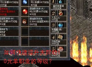 如何快速提升天罚劫10元单职业的等级? 如何快速提升天罚劫10元单职业的等级?