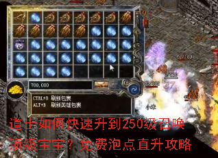 道士如何快速升到250级召唤顶级宝宝?免费泡点直升攻略 道士如何快速升到250级召唤顶级宝宝?免费泡点直升攻略