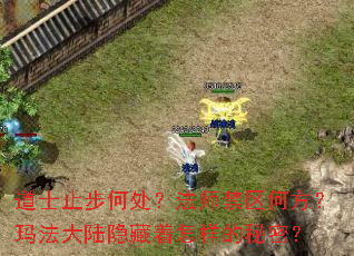 道士止步何处?法师禁区何方?玛法大陆隐藏着怎样的秘密? 道士止步何处?法师禁区何方?玛法大陆隐藏着怎样的秘密?