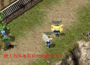 ������ε���BOSS����ȡʤ��