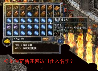 ��ɱ�����¿���վ��ʲô���֣�