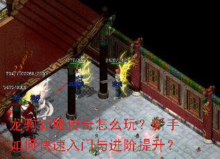�����·�������ô�棿������ο������������������