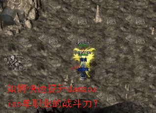 ��ο�������damaoxiao��ְҵ��ս������
