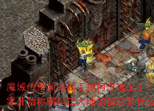 魔域传奇新服新手如何快速上手?从零开始称霸玛法大陆的秘诀是什么? 魔域传奇新服新手如何快速上手?从零开始称霸玛法大陆的秘诀是什么?