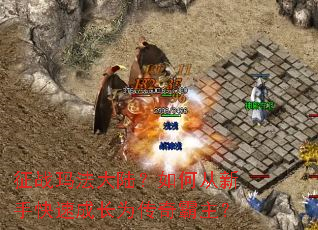��ս�귨��½����δ����ֿ��ٳɳ�Ϊ���������
