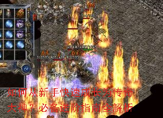 如何从新手快速成长为传奇大神?必备进阶指南全解析 如何从新手快速成长为传奇大神?必备进阶指南全解析