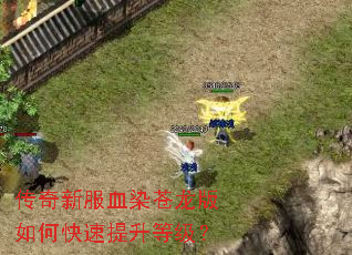 传奇新服血染苍龙版如何快速提升等级? 传奇新服血染苍龙版如何快速提升等级?