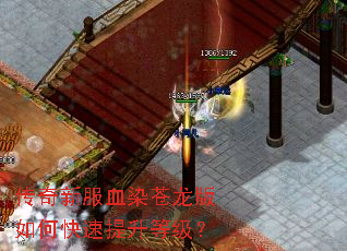 传奇新服血染苍龙版如何快速提升等级? 传奇新服血染苍龙版如何快速提升等级?