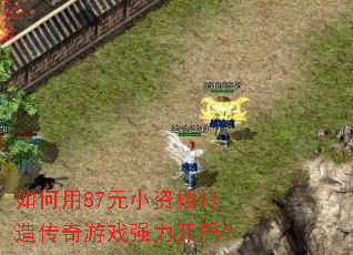 �����87ԪС�ʵ����촫����Ϸǿ�����֣�