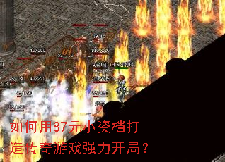 �����87ԪС�ʵ����촫����Ϸǿ�����֣�