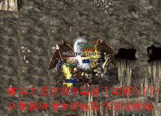 ����֮ŭɳ����������������ţ����㵽��ͨȫ���������ս�۷�