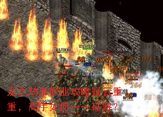 ��֮�ٵ�ְҵ�����������أ��������һһ�ƽ⣿