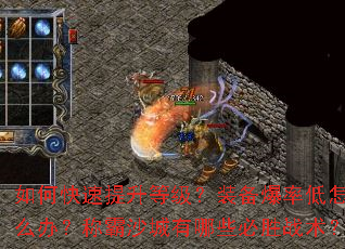 ��ο��������ȼ���װ�����ʵ���ô�죿�ư�ɳ������Щ��ʤս����