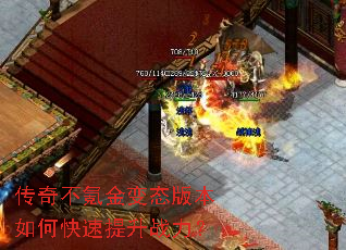���治봽��̬�汾��ο�������ս����