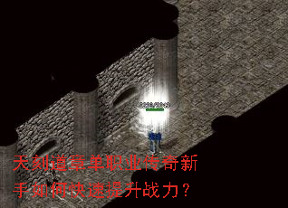 ��̵��µ�ְҵ����������ο�������ս����