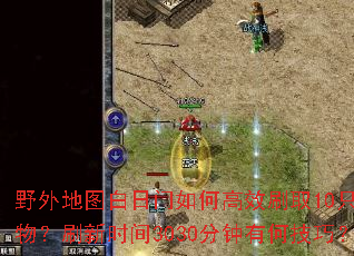 野外地图白日门如何高效刷取10只怪物?刷新时间3030分钟有何技巧? 野外地图白日门如何高效刷取10只怪物?刷新时间3030分钟有何技巧?