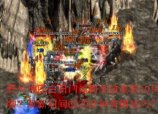 野外地图白日门如何高效刷取10只怪物?刷新时间3030分钟有何技巧? 野外地图白日门如何高效刷取10只怪物?刷新时间3030分钟有何技巧?