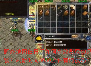 野外地图白日门如何高效刷取10只怪物?刷新时间3030分钟有何技巧? 野外地图白日门如何高效刷取10只怪物?刷新时间3030分钟有何技巧?