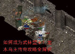 如何成为武林盟主?龙木岛主传奇攻略全解析 如何成为武林盟主?龙木岛主传奇攻略全解析