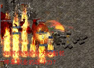 ��ο�����������նǬ����ְҵ��ս������