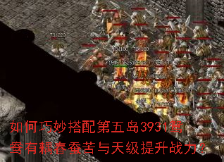 ������������嵺3931ԧ������Ͽ����켶����ս����