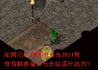 ������������嵺3931ԧ������Ͽ����켶����ս����