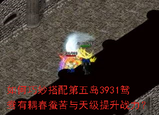 ������������嵺3931ԧ������Ͽ����켶����ս����