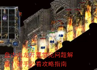 �̹Ż������ĳ������������ֱؿ�����ָ��