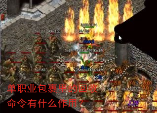 ��ְҵ������Ļ���������ʲô���ã�