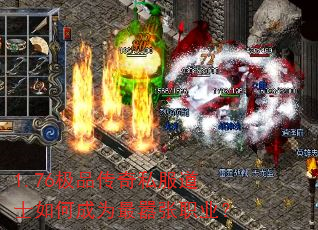 1.76��Ʒ����˽����ʿ��γ�Ϊ������ְҵ��