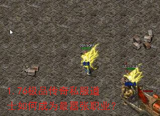 1.76��Ʒ����˽����ʿ��γ�Ϊ������ְҵ��