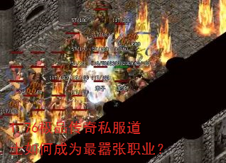 1.76��Ʒ����˽����ʿ��γ�Ϊ������ְҵ��