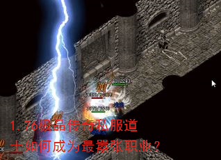 1.76��Ʒ����˽����ʿ��γ�Ϊ������ְҵ��