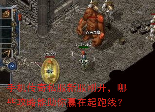 �ֻ�����˽���·��տ�����Щ����������Ӯ�������ߣ�