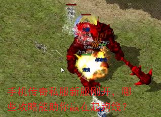 �ֻ�����˽���·��տ�����Щ����������Ӯ�������ߣ�