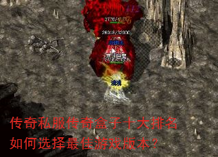 ����˽���������ʮ���������ѡ�������Ϸ�汾��