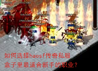 如何选择haosf传奇私服盒子里最适合新手的职业? 如何选择haosf传奇私服盒子里最适合新手的职业?