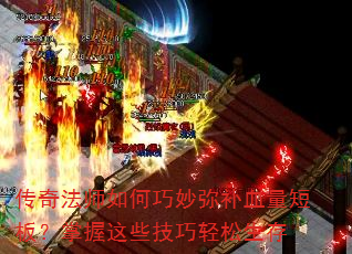 ���淨ʦ��������ֲ�Ѫ���̰壿������Щ������������