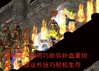 ���淨ʦ��������ֲ�Ѫ���̰壿������Щ������������