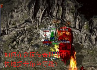 �����̰�洫�������п���������ɫ�ȼ���