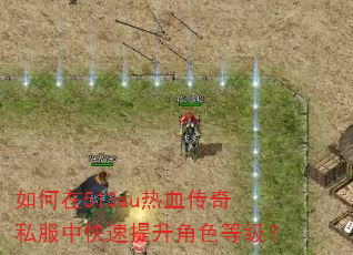 如何在513au热血传奇私服中快速提升角色等级? 如何在513au热血传奇私服中快速提升角色等级?