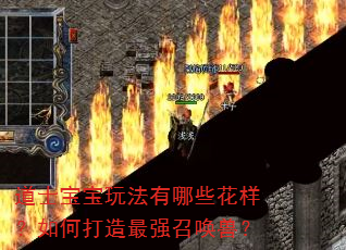 ��ʿ�����淨����Щ��������δ�����ǿ�ٻ��ޣ�