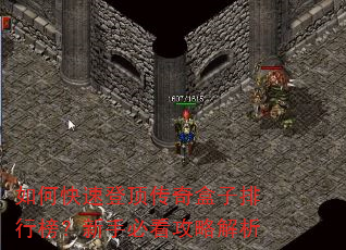 如何快速登顶传奇盒子排行榜?新手必看攻略解析 如何快速登顶传奇盒子排行榜?新手必看攻略解析