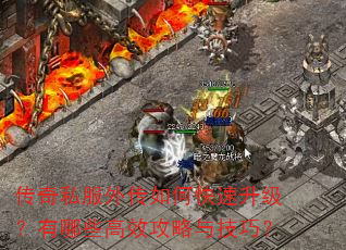 ����˽���⴫��ο�������������Щ��Ч�����뼼�ɣ�